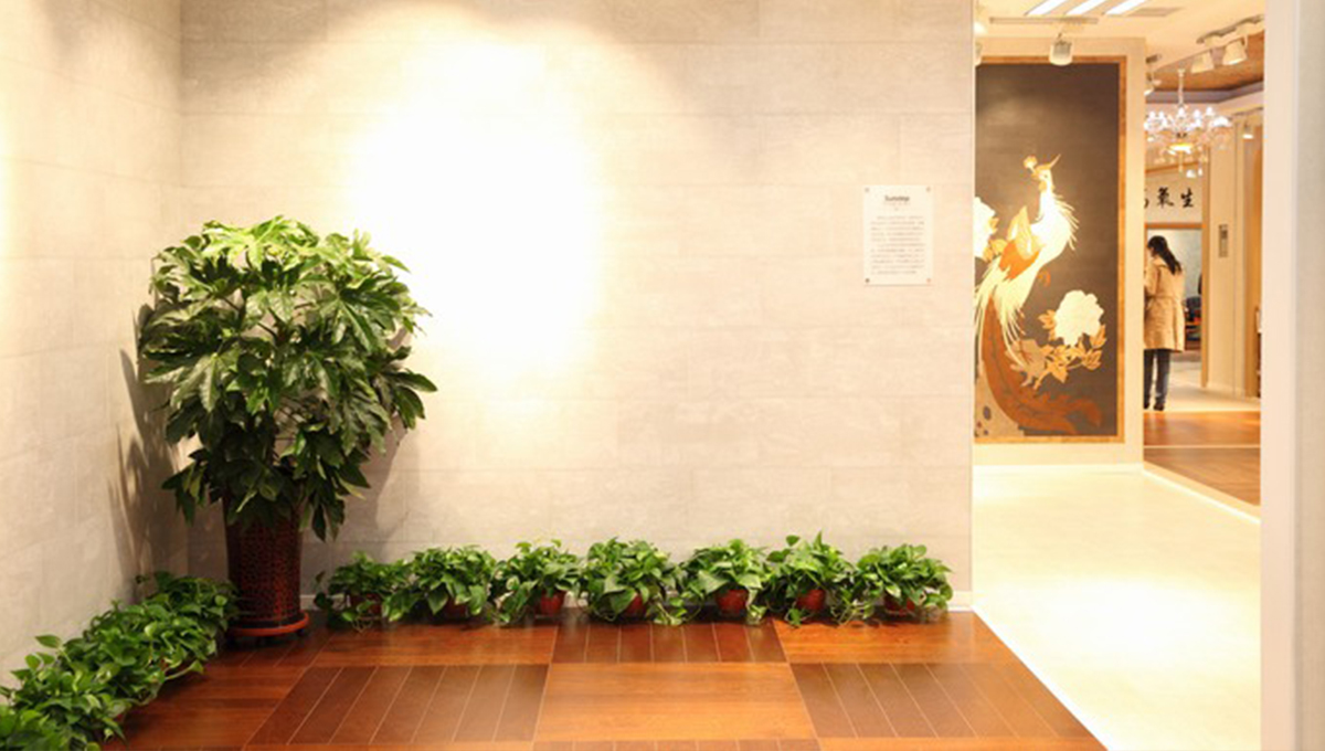 创新发展，永不止步 4