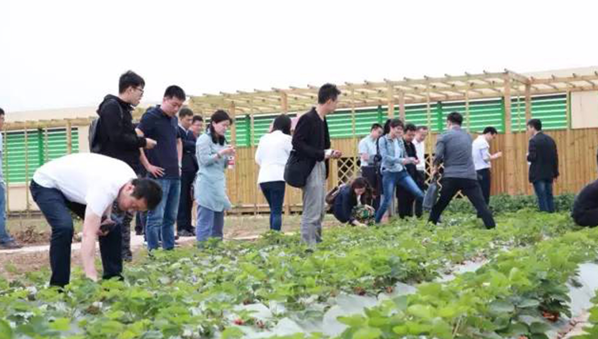 “2017年第五季室内设计-中国行”青岛站 | 惊“天”动地，“锋”起云涌 7