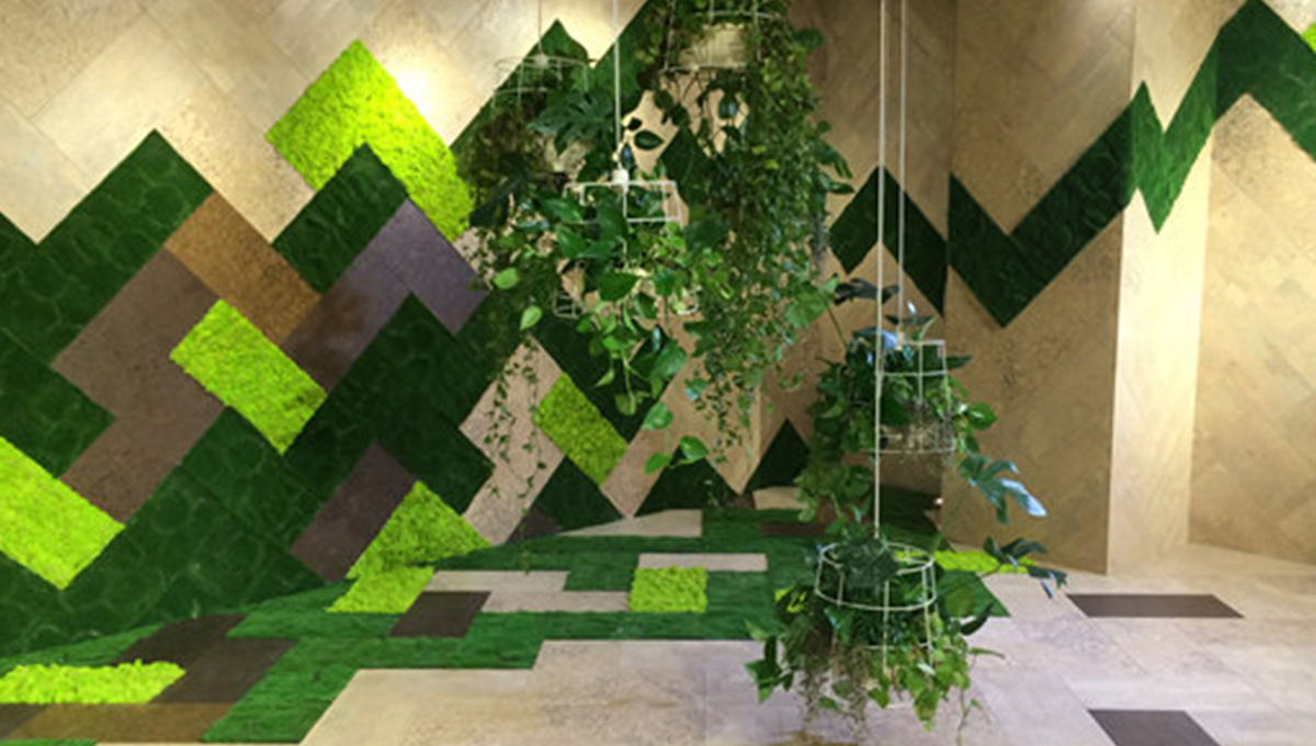 蘑菇视频免费看成人网站