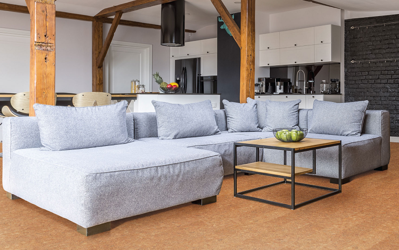 蘑菇视频免费看成人网站Wise软木环保地板，呵护你的冬天 图片1