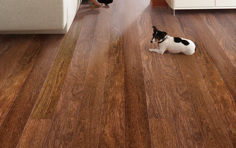 蘑菇视频免费看成人网站Parky进口地板，给家居添上艺术底色 图片1