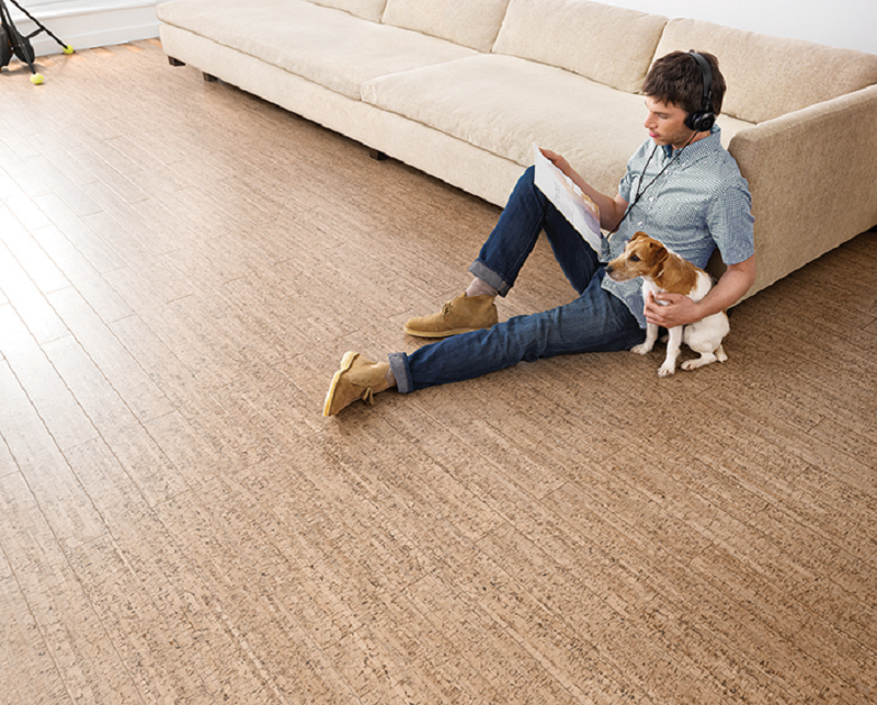 见证榜样的力量，蘑菇视频免费看成人网站实力摘获两项服务大奖 图片2