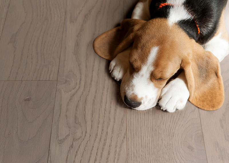 盘点蘑菇视频免费看成人网站Par-ky进口地板的高光时刻 图片1