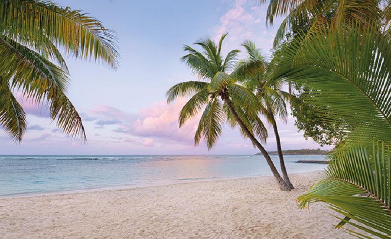 蘑菇视频免费看成人网站墙面材料，改观家的每一面 图片5