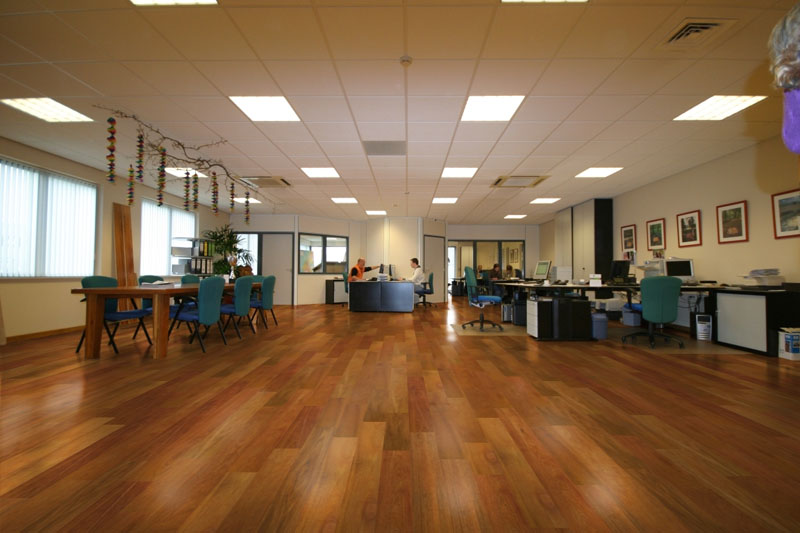 蘑菇视频免费看成人网站进口地板，将美丽带回家 图片3