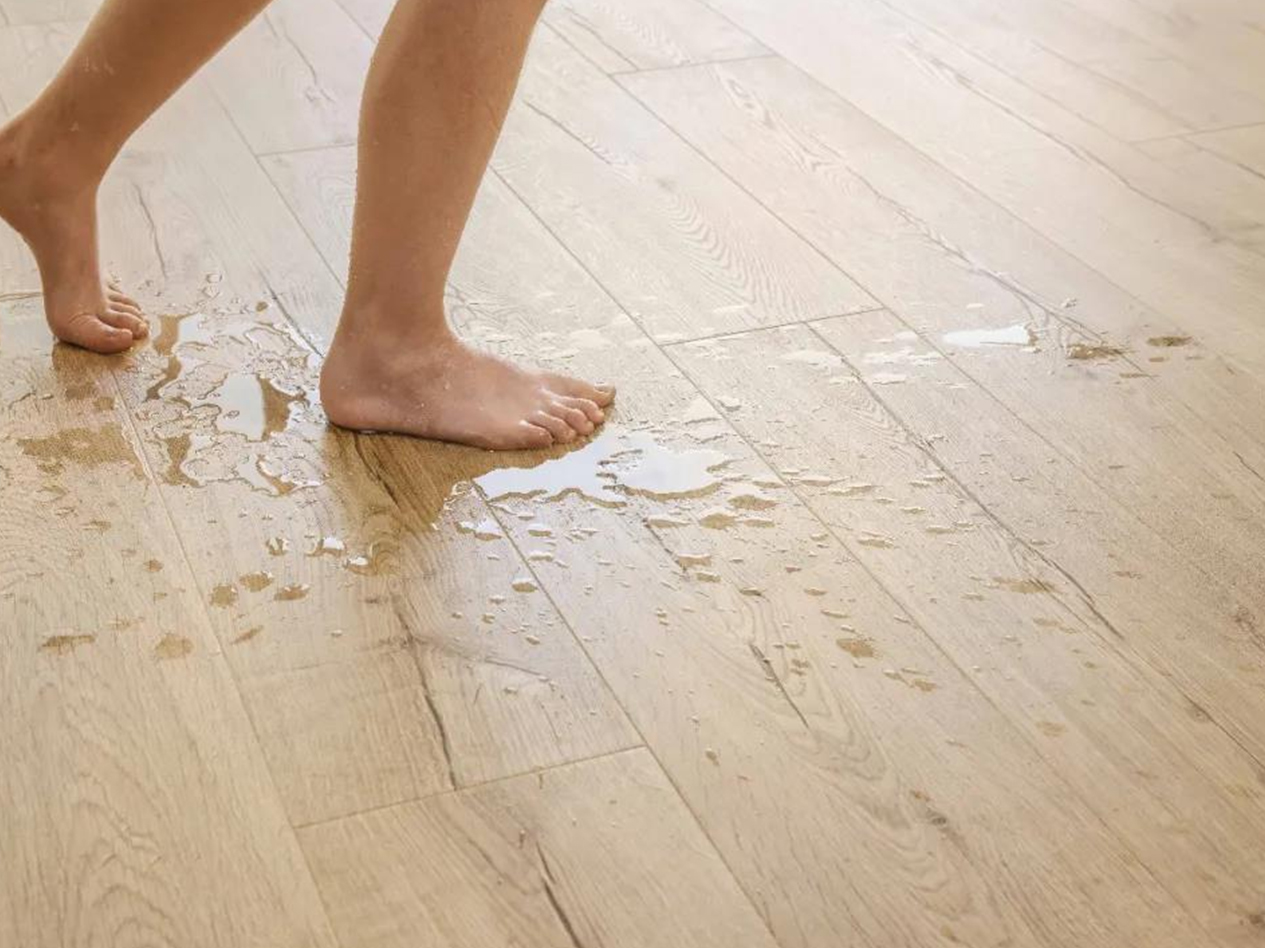 蘑菇视频免费看成人网站Quick-Step进口地板，革新之变，全新享受 图片19