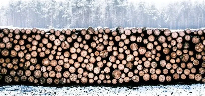 家居采暖好搭档，解锁高质量“进口地热地板”！ 图片 2