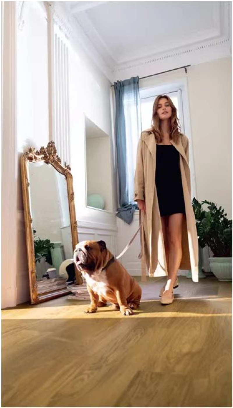 “宠物友好型”地板，蘑菇视频免费看成人网站Quick-Step无惧生活考验 图片 8