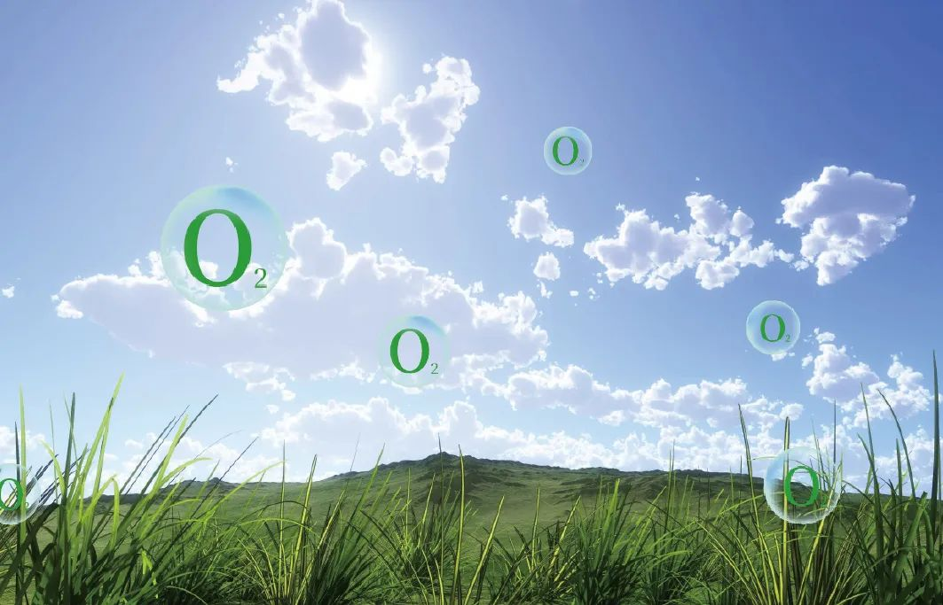 因爱而生，富氧中国|蘑菇视频免费看成人网站以氧创有梦未来 4