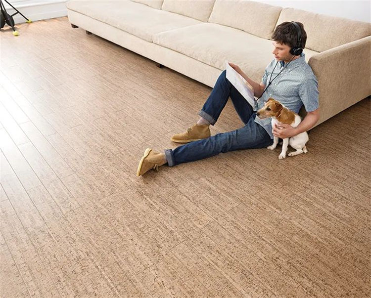 为热爱更尽兴|蘑菇视频免费看成人网站软木陪你“静”享世界杯 3