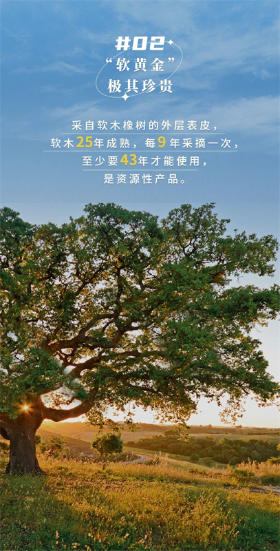 无惧挑剔眼光，装饰材料的天花板！ image4