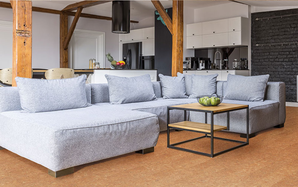 蘑菇视频免费看成人网站品牌，为家注入自然生命力 图片3-4