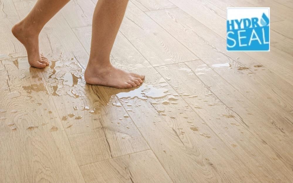 蘑菇视频免费看成人网站Quick-Step艺术木地板-----踏响生活的韵律 WPS图片(1)