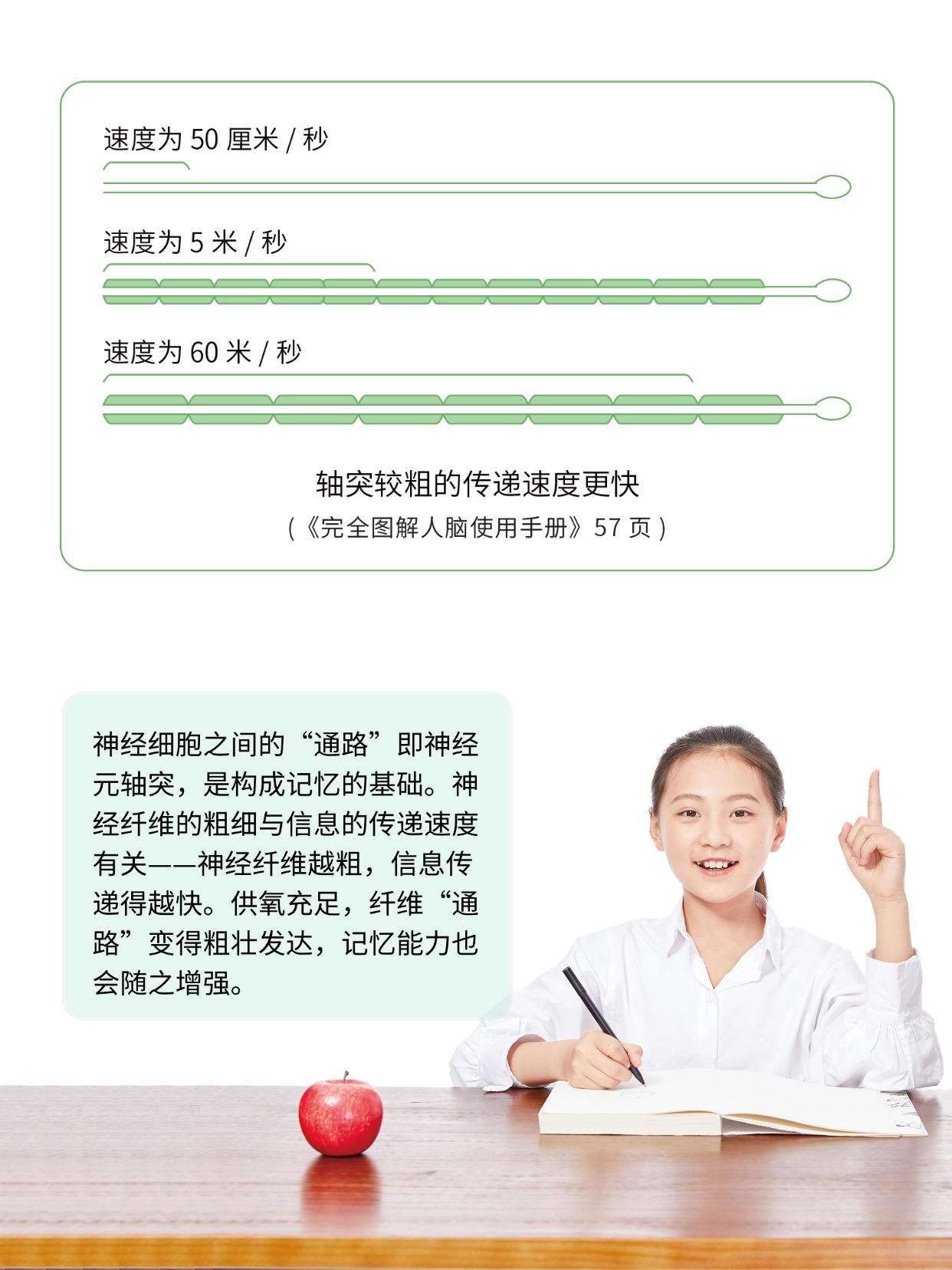 你听说过能补氧的桌子吗？有娃家庭直接抄作业 图片8