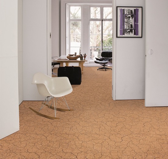 同样是地板，软木地板有什么独特好处