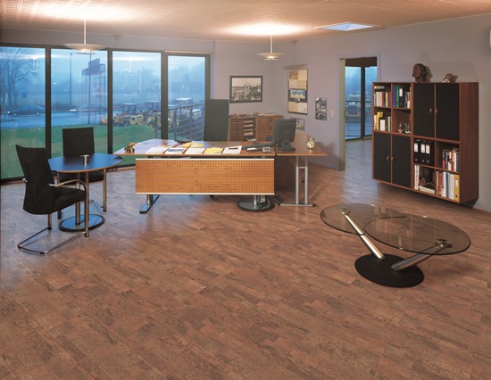 掌握软木地板冬季保养技巧，轻松延长使用寿命