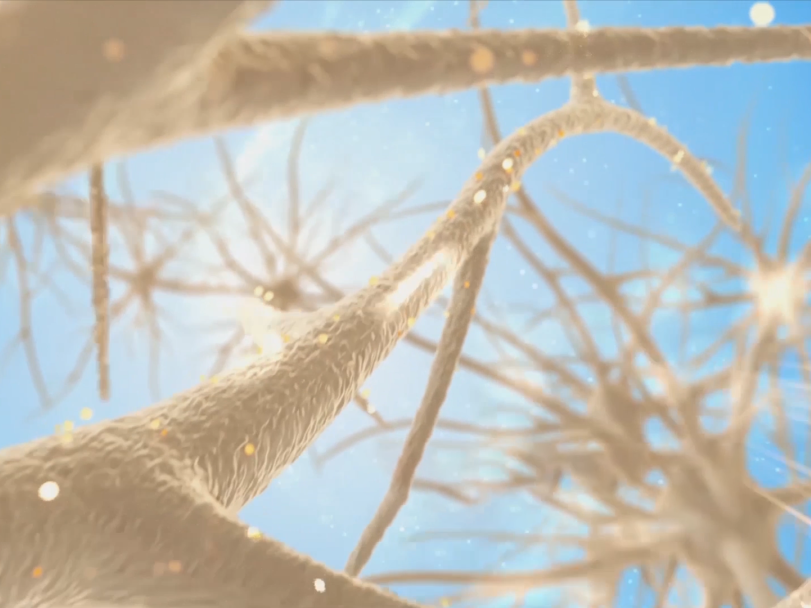 富氧让你的大脑效率从2G变5G！ image1